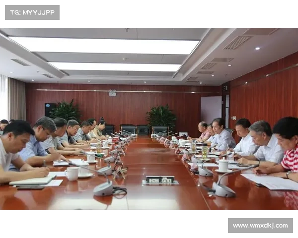 如何在会议中提出建设性质疑并推动有效讨论提高决策质量